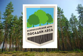 Филиал «Балтики» в Новосибирске присоединился к экологической акции «Всероссийский день посадки леса»